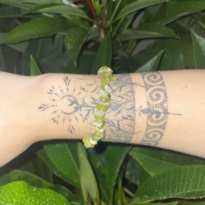 Rainforest Warrior