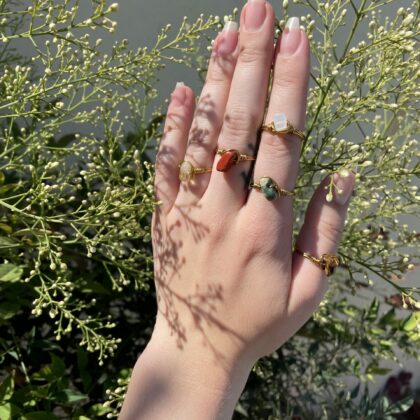 Garden Fairy Rings