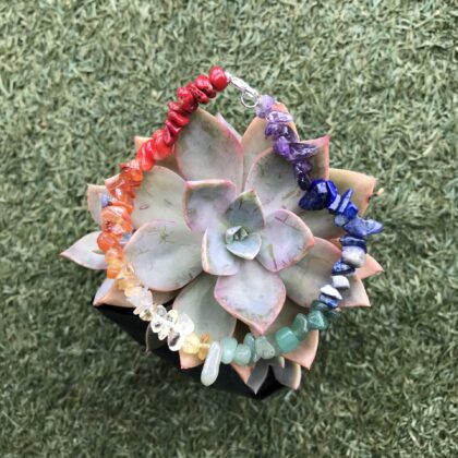 Chakra Bracelet
